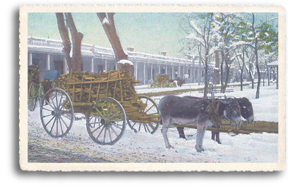 A pair of Burros (or donkeys) make their way through the snow to Burro Alley with a load of wood. Burro Alley is adjacent to the historic Santa Fe Plaza and is now home to several local shops and businesses.