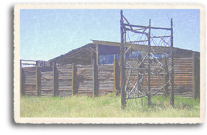 A house north of Taos, New Mexico, that is built completely out of scrap metal and other such elements. A virtual rustic (and rusty) fortress of sorts, the house is an example of the adaptabilty of construction methods in the Northen New Mexico area.