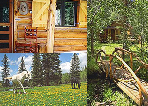 Enjoy trout fishing, hiking, mountain biking, horseback riding or relaxing in the serenity of your won wildflower-strewn meadow.