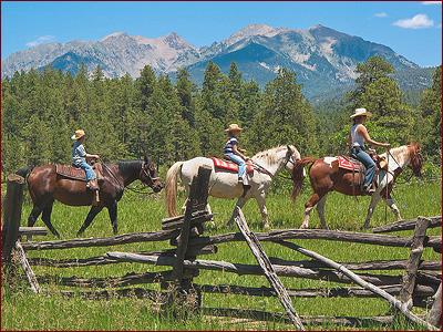 Enjoy a day on horseback, riding the trails of the Carson National Forest in Red River, NM. Enjoy the stunning Rocky Mountain vistas, alpine meadows full of wildflowers, birds and wildlife on your guided horseback trail ride through Bobcat Pass