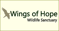 Wings of Hope Wildlife Sanctuary