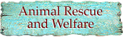 Animal welfare organizations and charities, animal shelters, rescue and rehabilitation