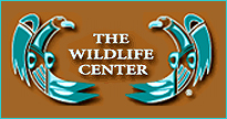 Wildlife rescue and rehabilitation in New Mexico