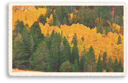 Golden aspens and ponderosa pines cover the Sandia Mountains at the base of New Mexico's Turquoise Trail