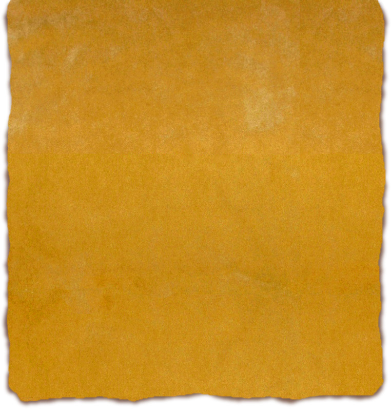 Taos Unlimited local color feature western leather background
