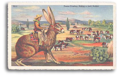 A vintage postcard from the 1940s illustrates the fascination of the American public with the idea of the Giant Jack Rabbit. Dozens of these types of cards were published during this time and well into the 1960s. Here, a cowboy rides a Giant Jack Rabbit (or the mythological Jackalope) in order to heard cattle in the high desert of New Mexico.